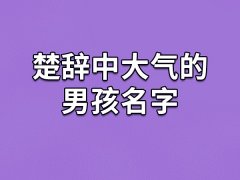 楚辞中大气的男孩名字：万钦/豫铭/晨深/树韬