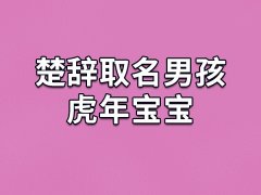 楚辞取名男孩虎年宝宝：乾辉/豫图/熙勇/越逸