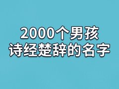 2000个男孩诗经楚辞的名字：辰深/圣华/楷晖/伯文