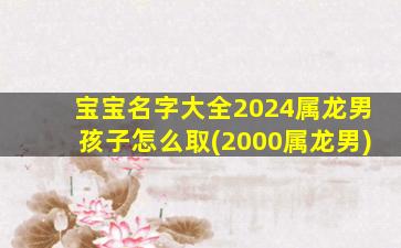宝宝名字大全2024属龙男孩子怎么取(2000属龙男)