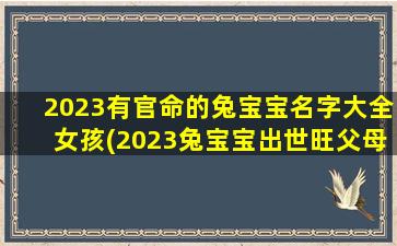 2023有官命的兔宝宝名字大全女孩(2023兔宝宝出世旺父母)