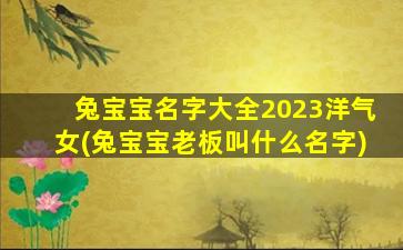 兔宝宝名字大全2023洋气女(兔宝宝老板叫什么名字)