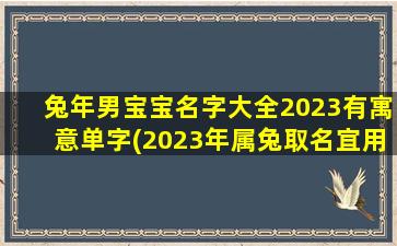 兔年男宝宝名字大全2023有寓意单字(2023年属兔取名宜用字)