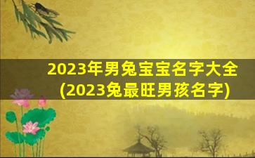 2023年男兔宝宝名字大全(2023兔最旺男孩名字)