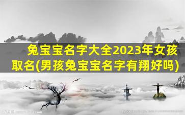 兔宝宝名字大全2023年女孩取名(男孩兔宝宝名字有翔好吗)