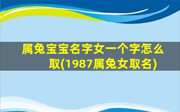 属兔宝宝名字女一个字怎么取(1987属兔女取名)