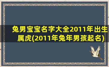 兔男宝宝名字大全2011年出生属虎(2011年兔年男孩起名)